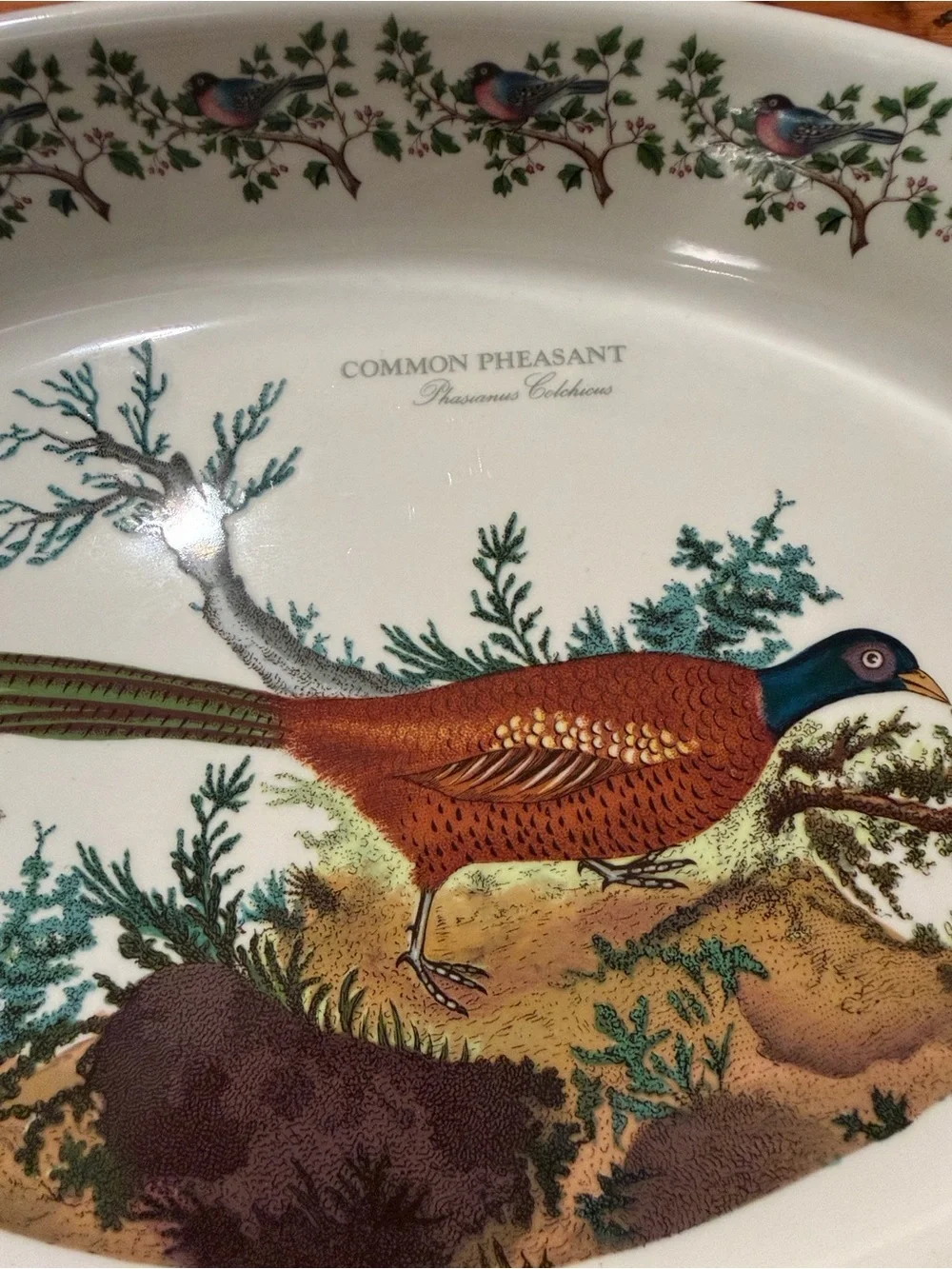 Portmeirion Vintage Birds of Britain Pheasant Oval Serving Platter